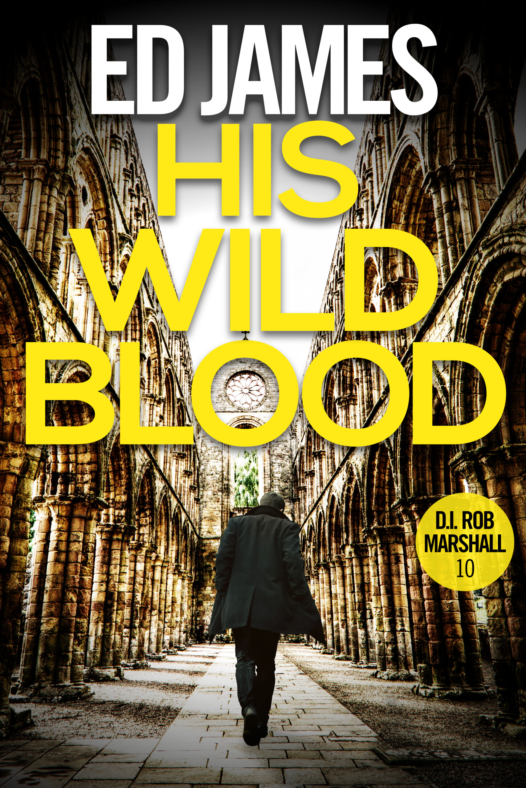 Cover to His Wild Blood, Marshall book 10